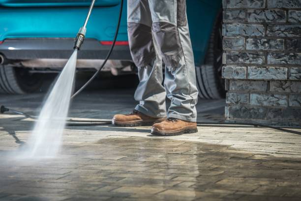 Best Window and Screen Pressure Cleaning in La Vista, NE